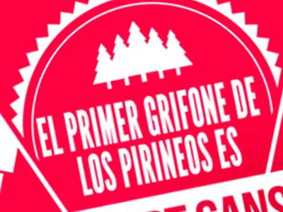 Queso Entrepinares